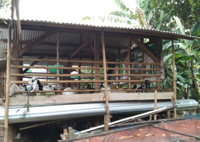 Pembuatan Kandang Kambing Tahap 100% Desa Gondang