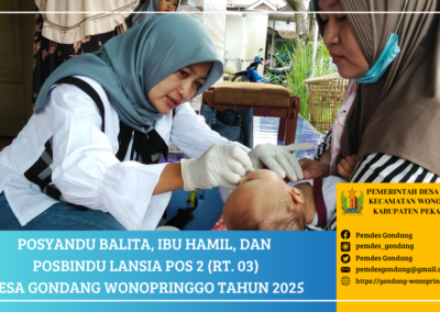 Posyandu Balita, Ibu Hamil, dan Posbindu Lansia POS 2 (RT. 03) Desa Gondang Wonopringgo